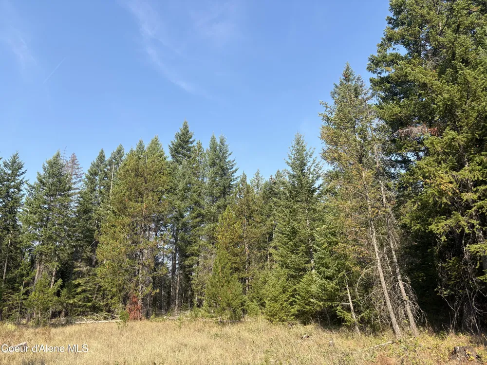 NNA Lewellen Creek (South 10) Road Athol, ID 83801