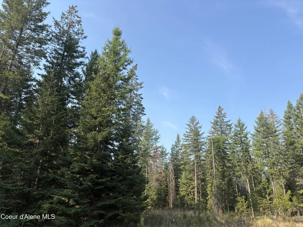 NNA Lewellen Creek (South 10) Road Athol, ID 83801