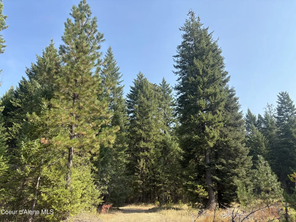 NNA Lewellen Creek (South 10) Road Athol, ID 83801