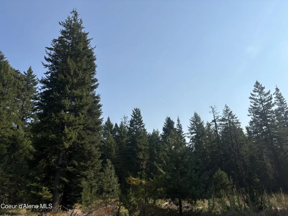 NNA Lewellen Creek (South 10) Road Athol, ID 83801