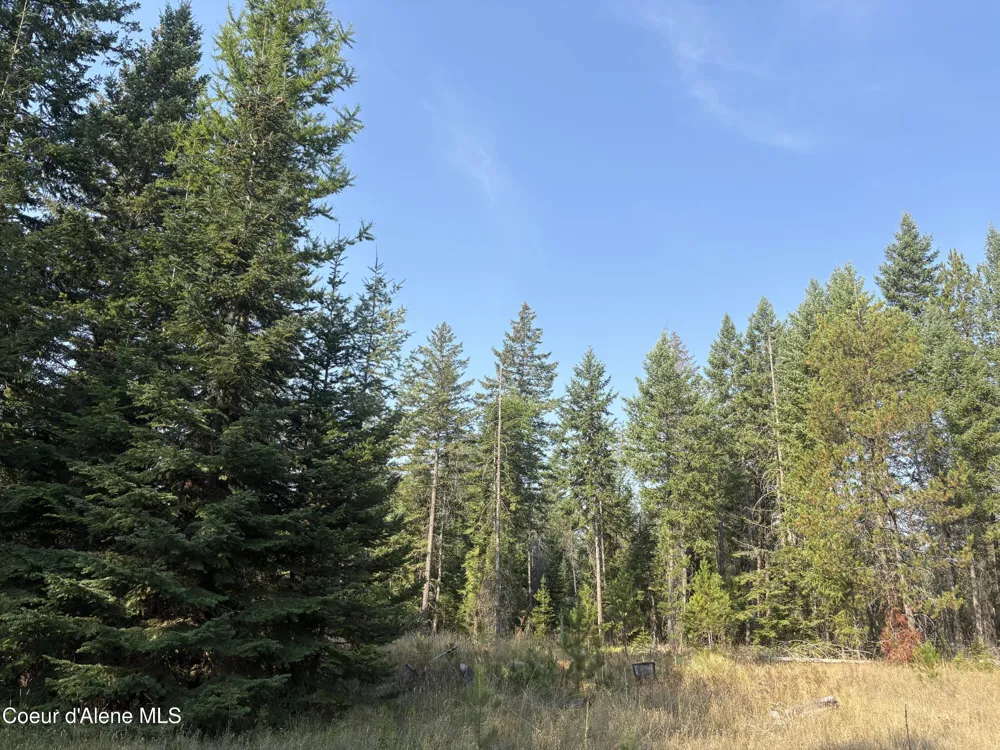 NNA Lewellen Creek (South 10) Road Athol, ID 83801
