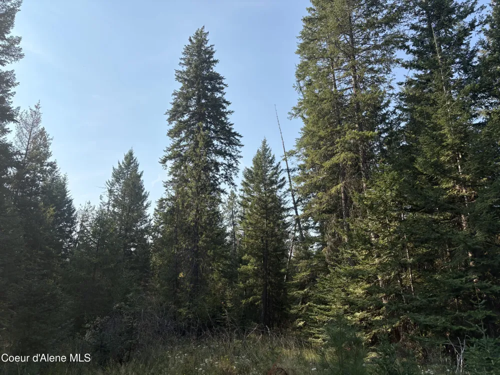NNA Lewellen Creek (South 10) Road Athol, ID 83801