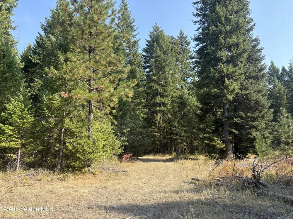 NNA Lewellen Creek (South 10) Road Athol, ID 83801