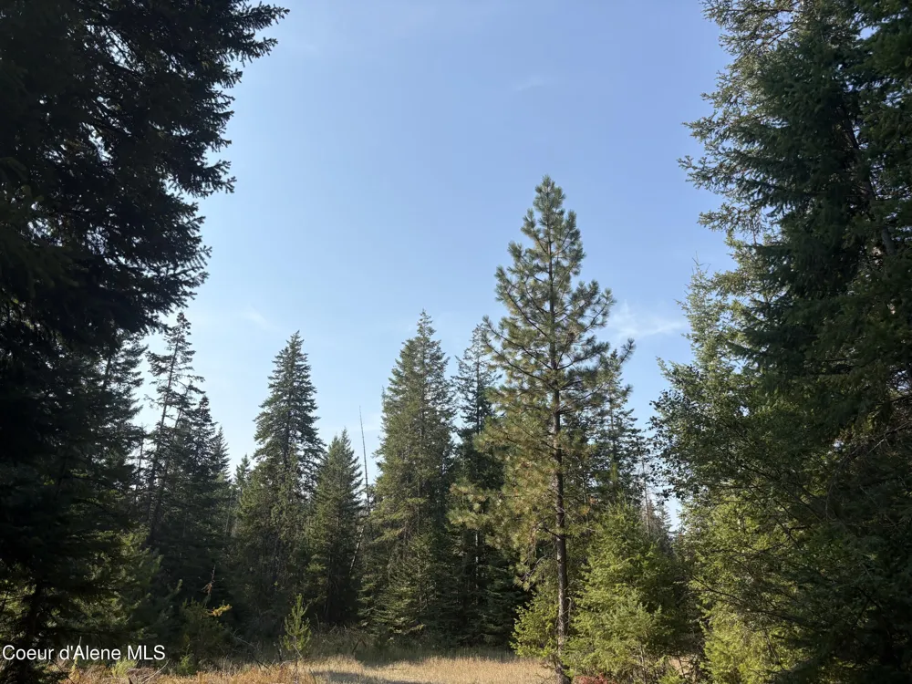 NNA Lewellen Creek (South 10) Road Athol, ID 83801