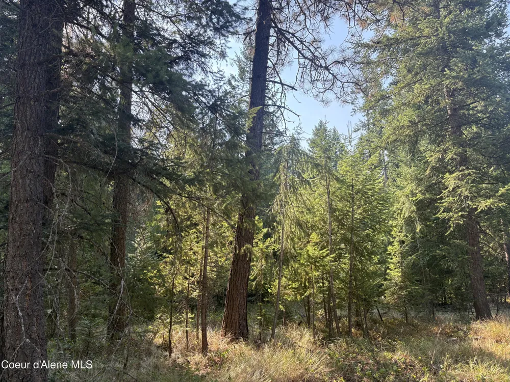 NNA Lewellen Creek (South 10) Road Athol, ID 83801