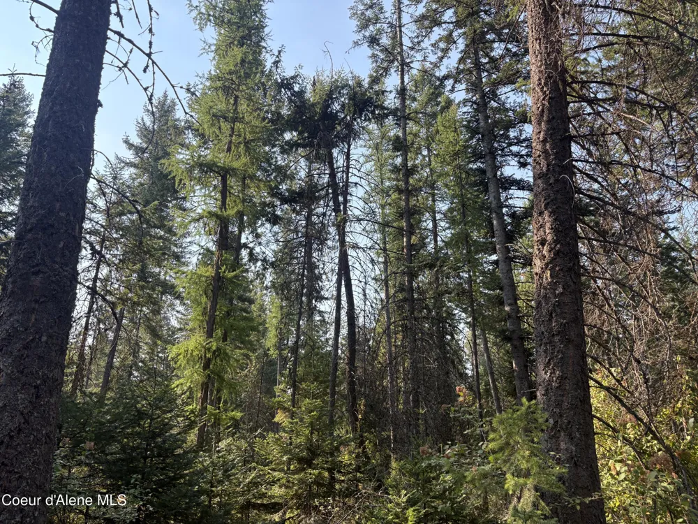 NNA Lewellen Creek (South 10) Road Athol, ID 83801