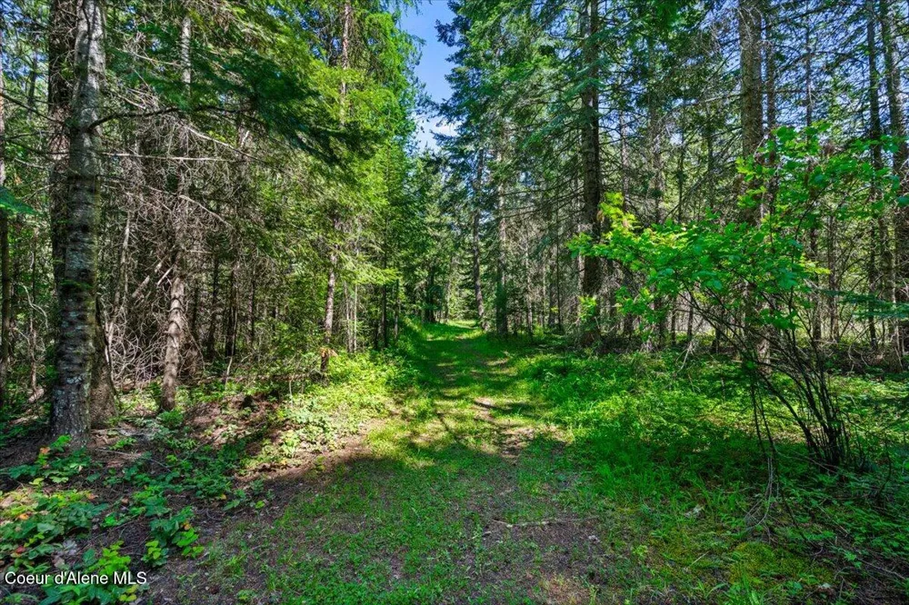 NNA Lewellen Creek (South 10) Road Athol, ID 83801