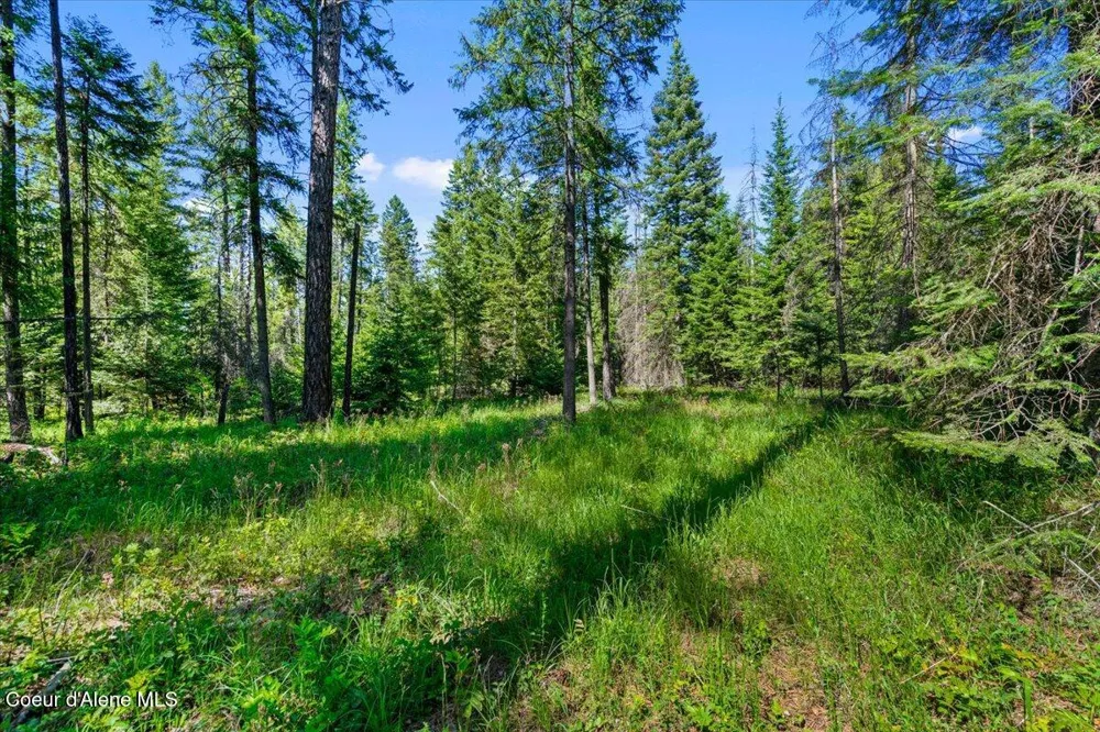 NNA Lewellen Creek (South 10) Road Athol, ID 83801