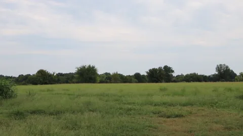 Rs County Road 3425