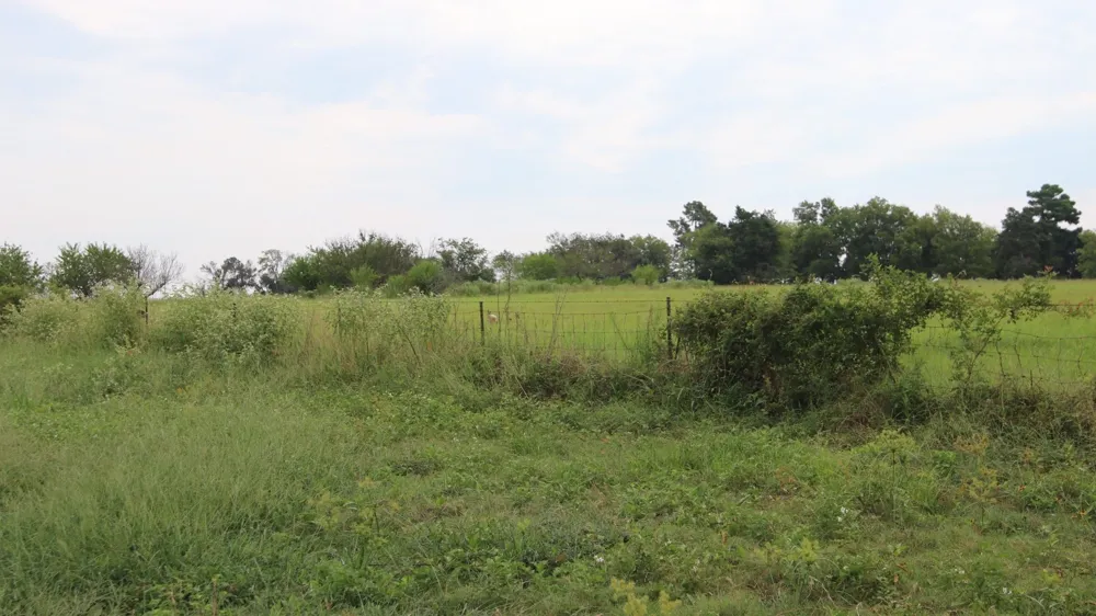 Rs County Road 3425 Emory, TX 75440