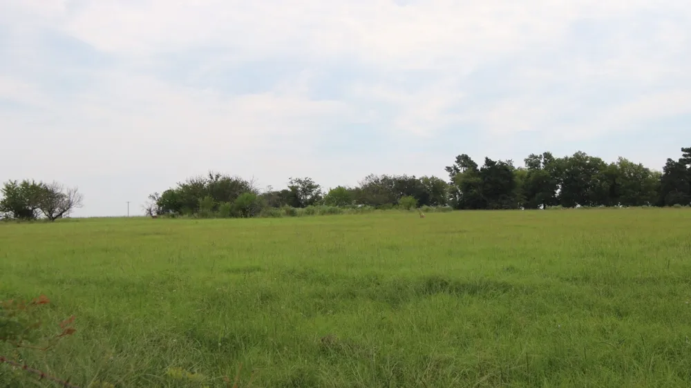 Rs County Road 3425 Emory, TX 75440