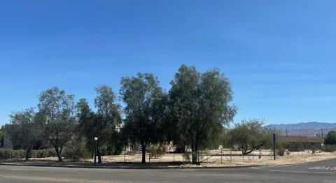 Palm Canyon Drive