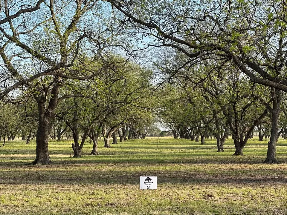 CR 461 De Leon, TX 76444