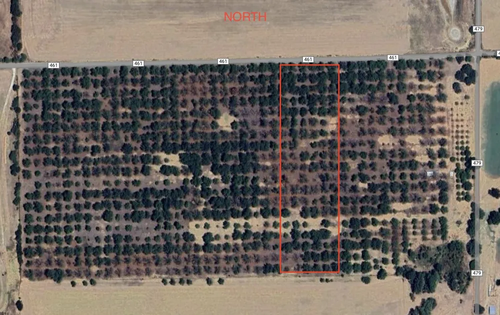 CR 461 De Leon, TX 76444