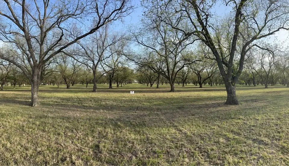 CR 461 De Leon, TX 76444