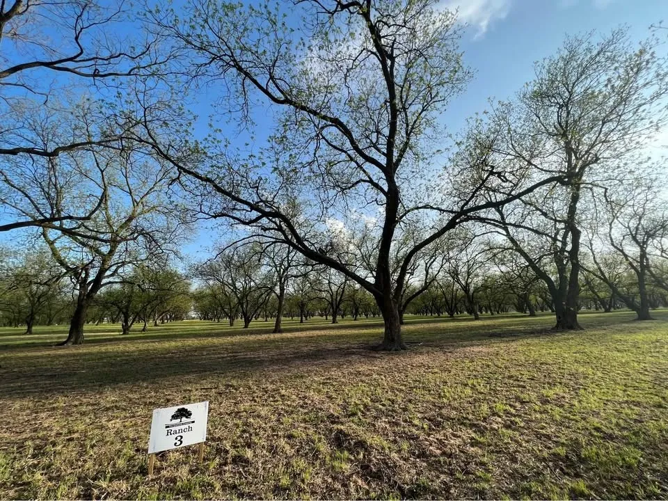 CR 461 De Leon, TX 76444