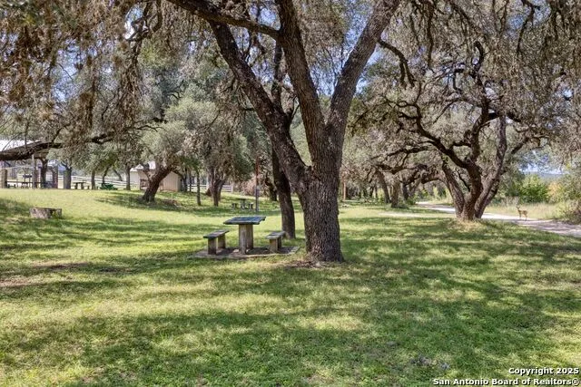 394 Squirrel Bend Reagan Wells, TX 78801