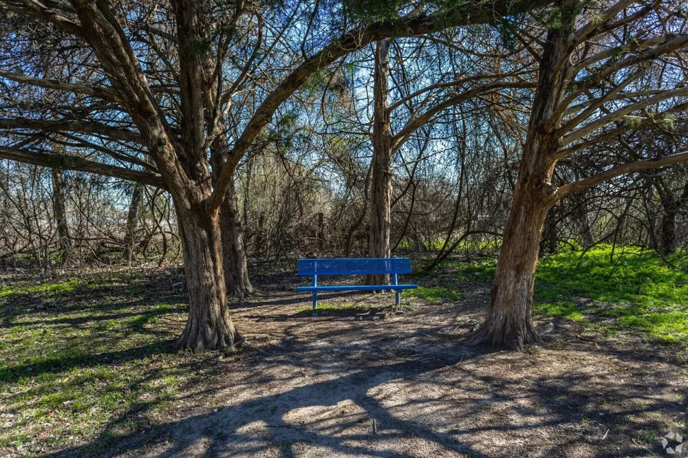 520 Laredo St Navasota, TX 77868