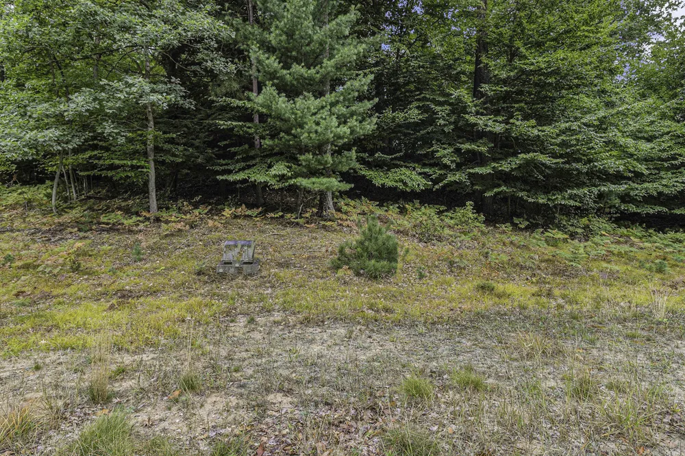 14 Pine Street Mears, MI 49436
