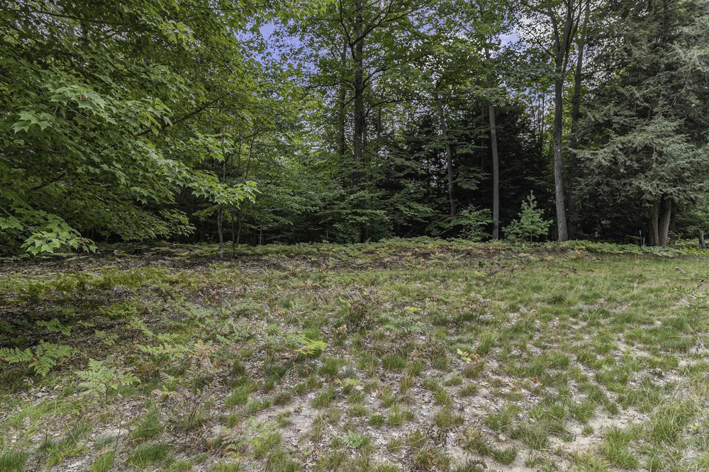 14 Pine Street Mears, MI 49436