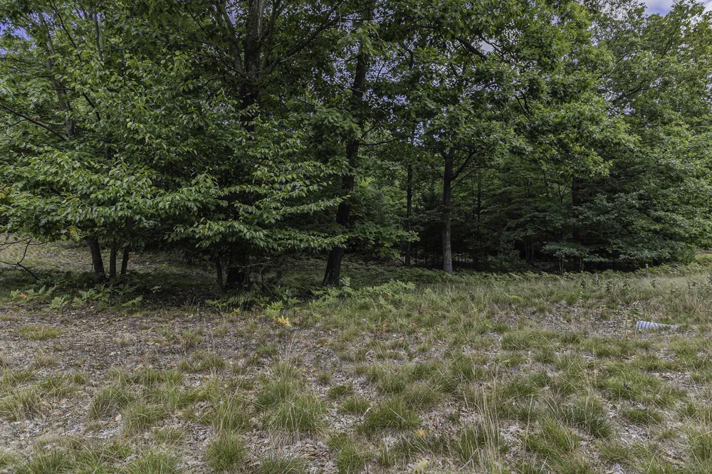 14 Pine Street Mears, MI 49436