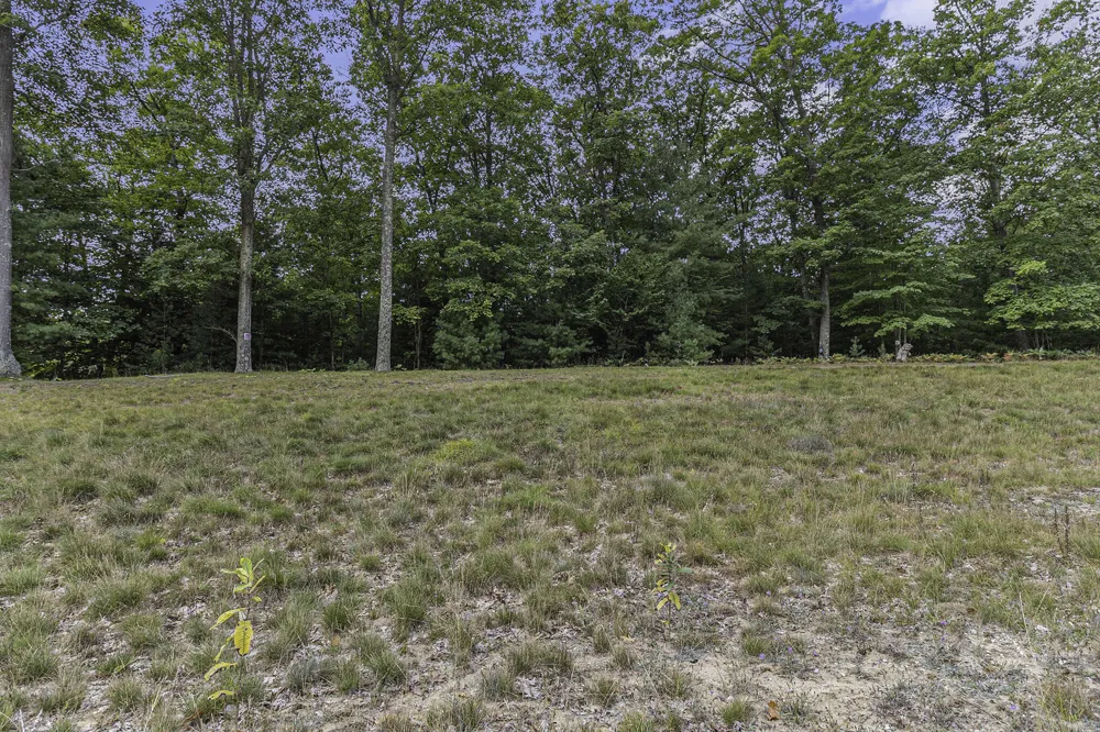 14 Pine Street Mears, MI 49436