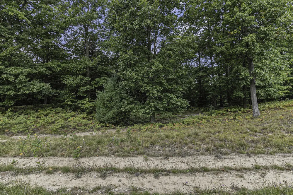 14 Pine Street Mears, MI 49436