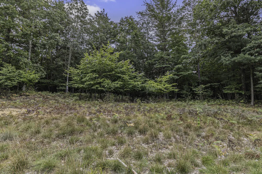 17 Pine Street Mears, MI 49436