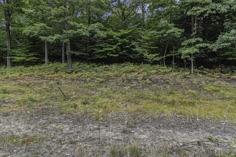 16 Pine Street Mears, MI 49436