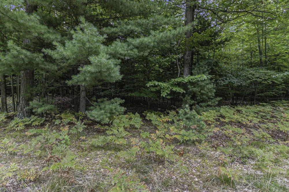 16 Pine Street Mears, MI 49436