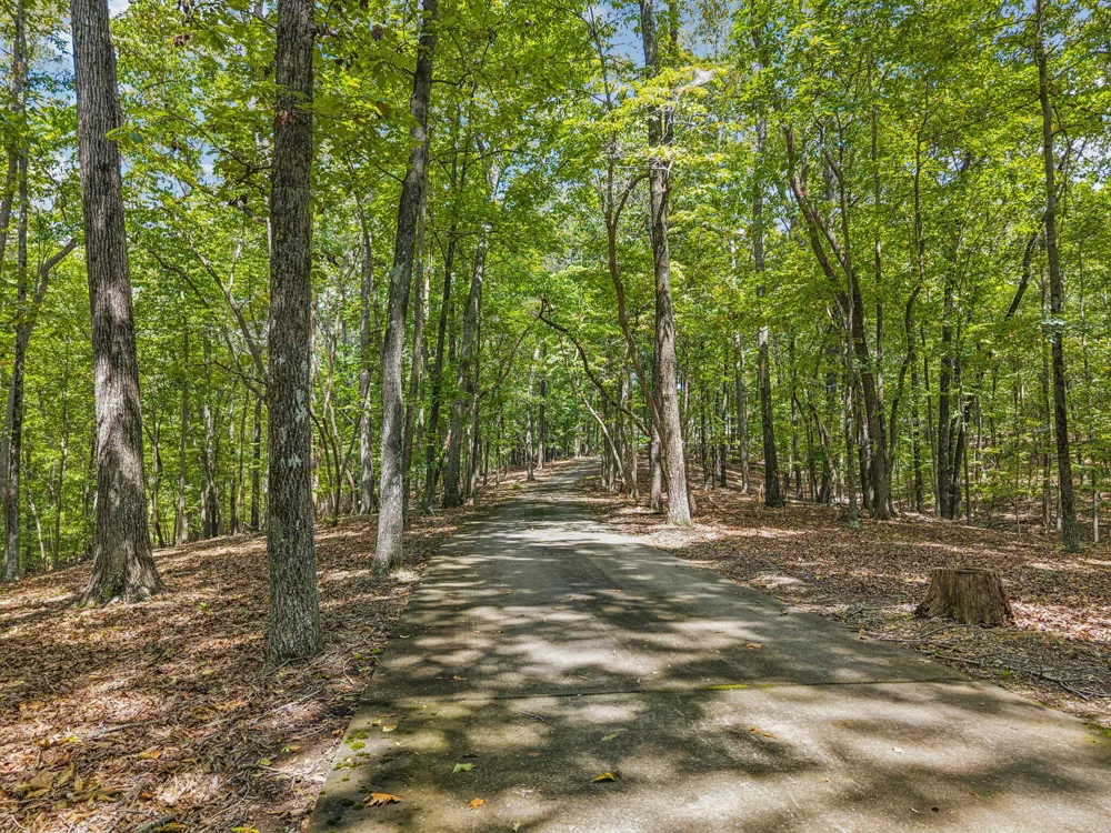 4416 Wedgewood Lane Cohutta, GA 30710