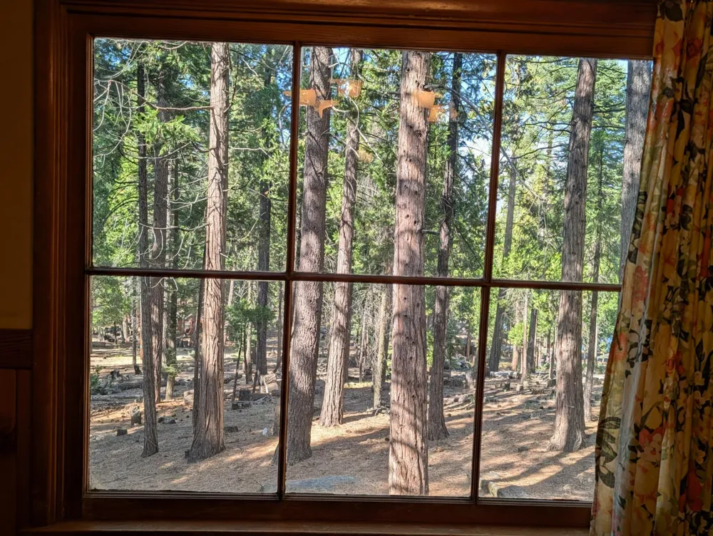64960 Stellar Jay Unincorporated, CA 93628