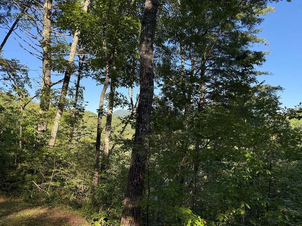 Winding Stairs Road Topton, NC 28781