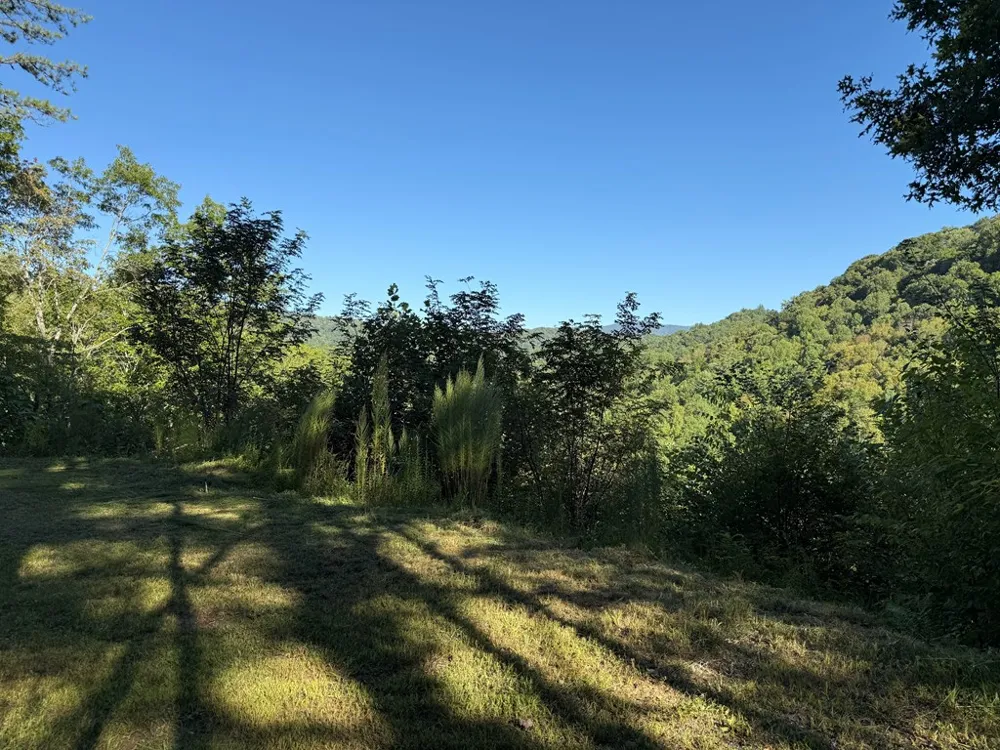 Winding Stairs Road Topton, NC 28781