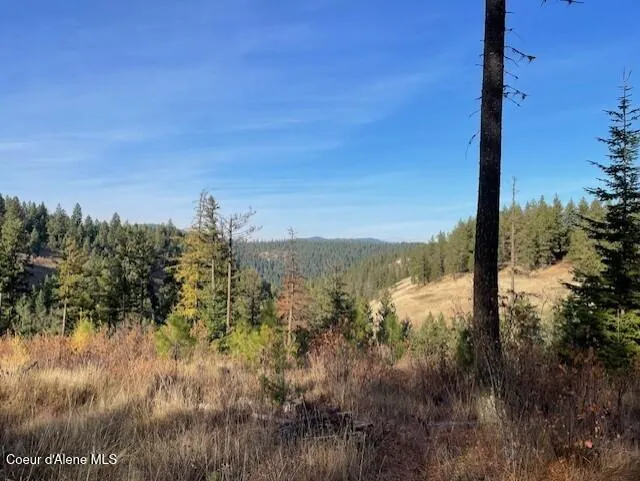 NKA-40 AC W Conkling Road Worley, ID 83876