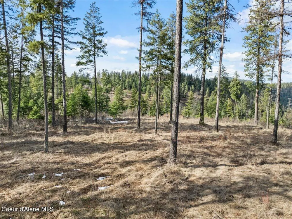 NKA-40 AC W Conkling Road Worley, ID 83876