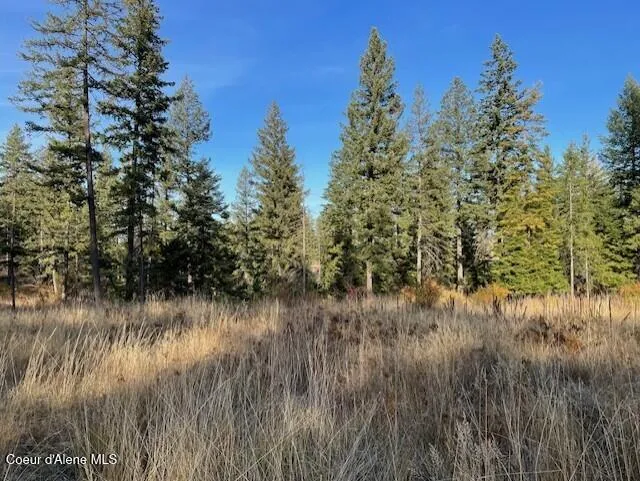 NKA-40 AC W Conkling Road Worley, ID 83876