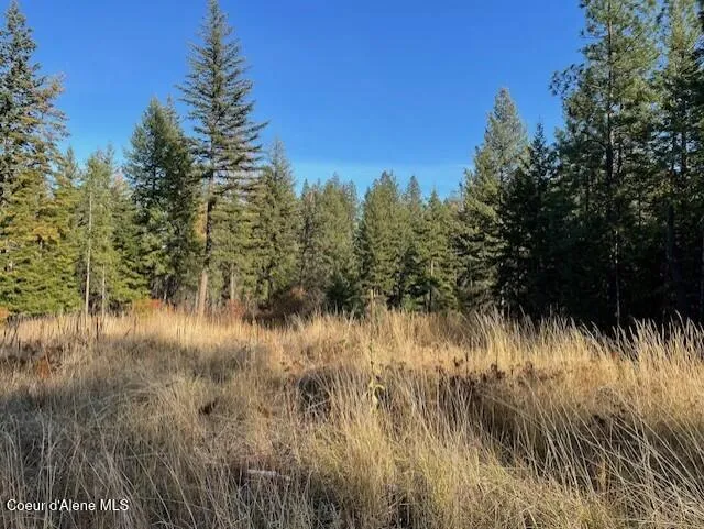 NKA-40 AC W Conkling Road Worley, ID 83876