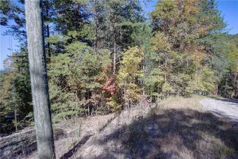 169 Jasmine Drive NE