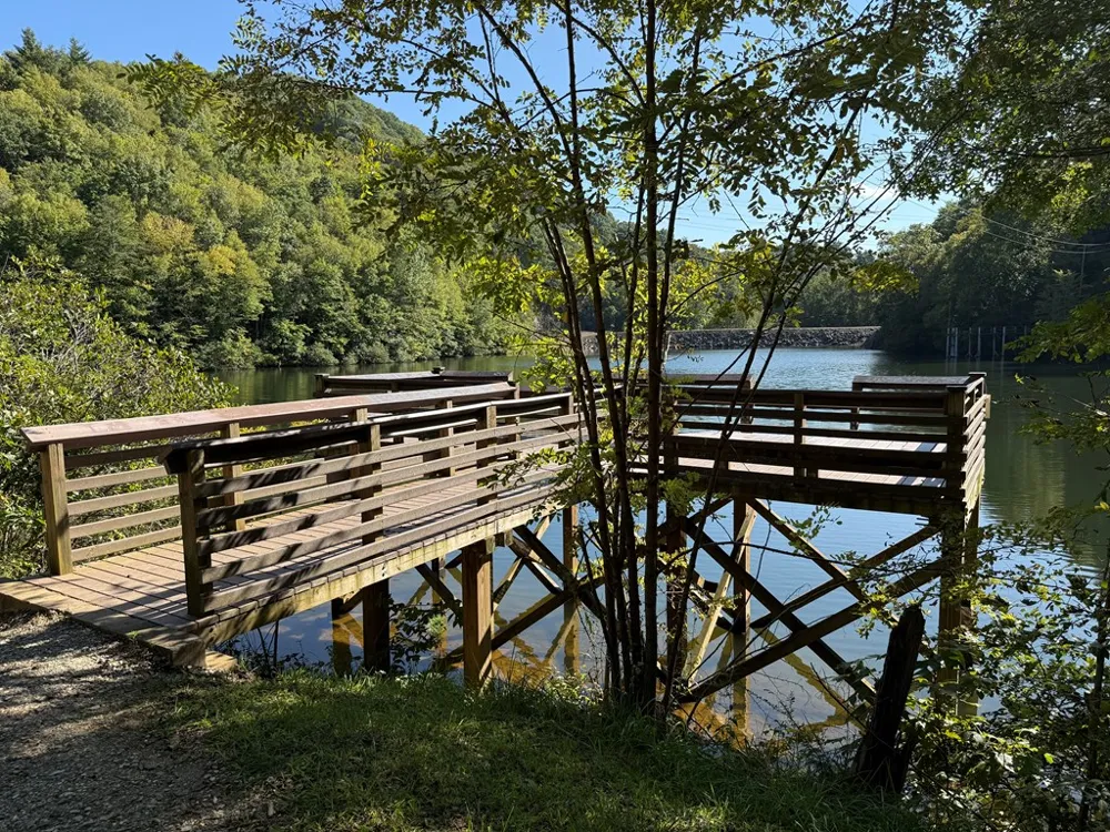 Mystic Ridge Way W Topton, NC 28781