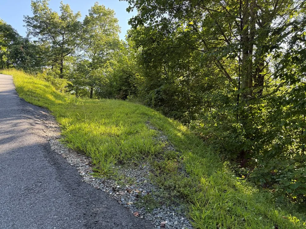 Mystic Ridge Way W Topton, NC 28781