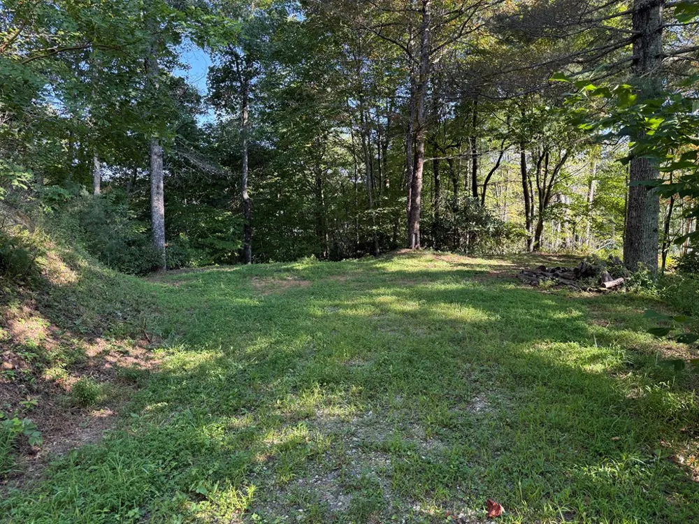 Mystic Ridge Way W Topton, NC 28781