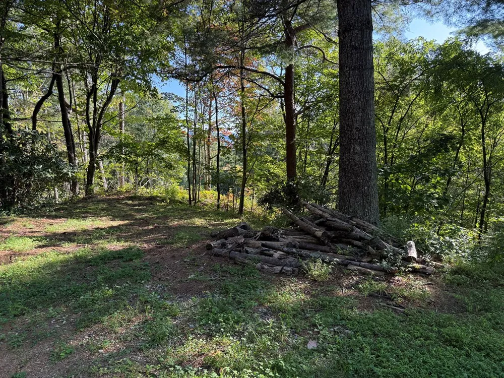 Mystic Ridge Way W Topton, NC 28781