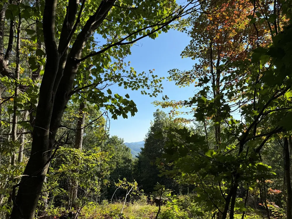 Mystic Ridge Way W Topton, NC 28781