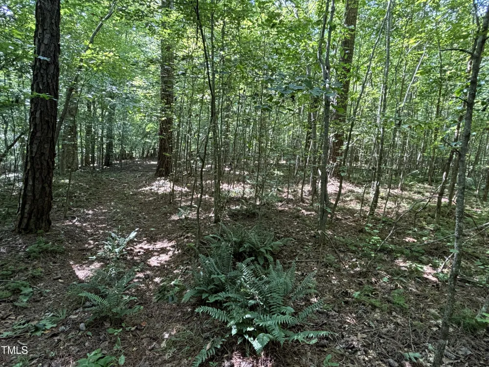 1400 Happy Valley Farm Drive Hillsborough, NC 27278