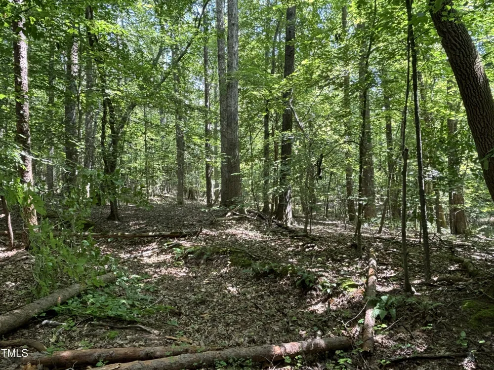 1400 Happy Valley Farm Drive Hillsborough, NC 27278