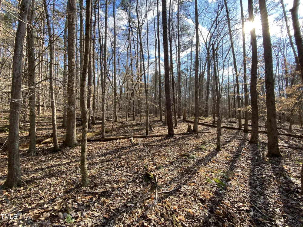 1400 Happy Valley Farm Drive Hillsborough, NC 27278