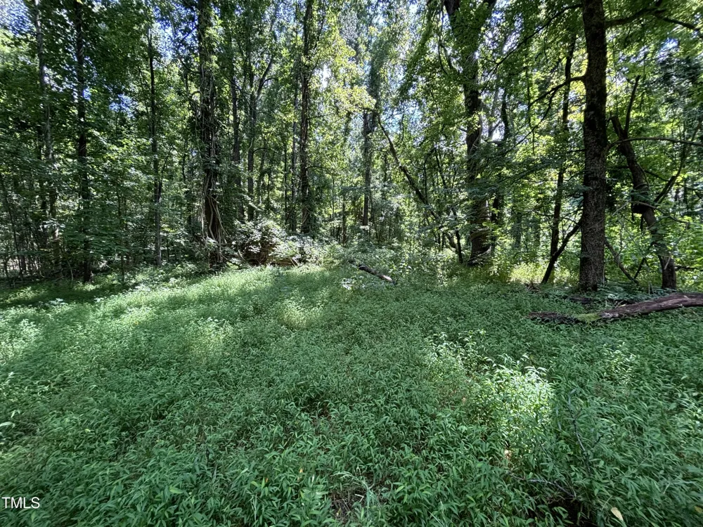 1400 Happy Valley Farm Drive Hillsborough, NC 27278