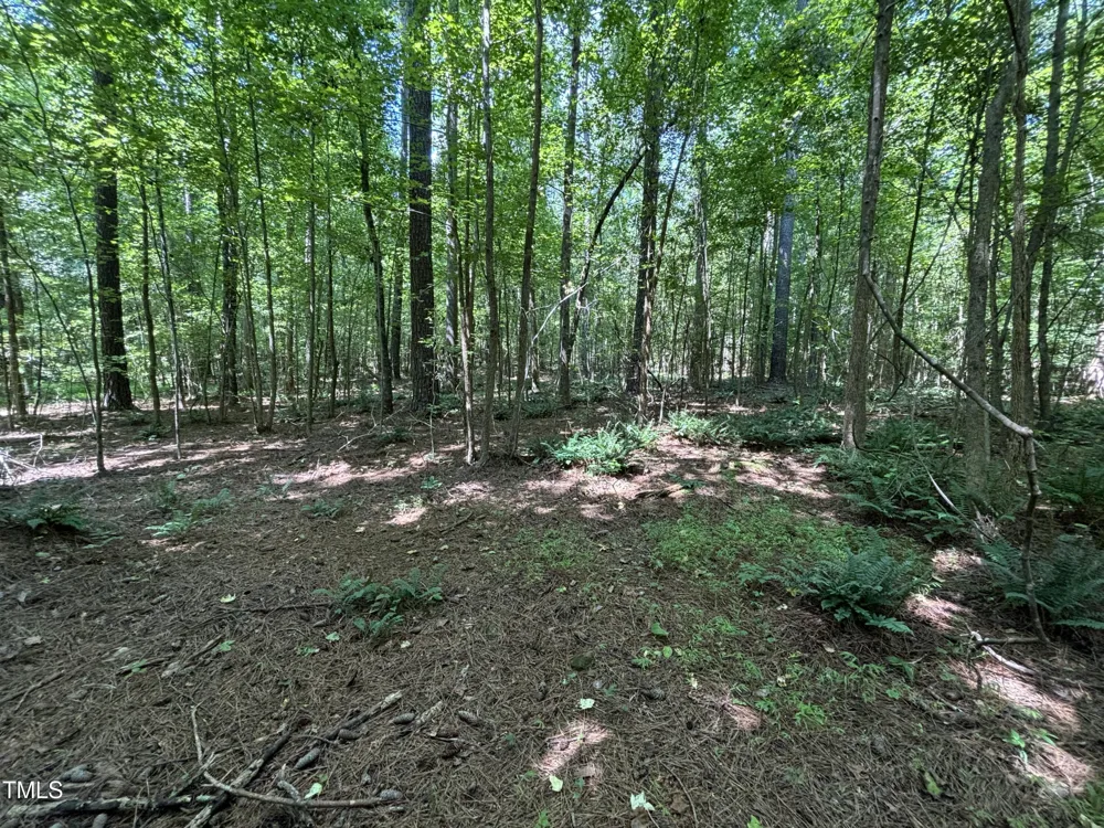 1400 Happy Valley Farm Drive Hillsborough, NC 27278