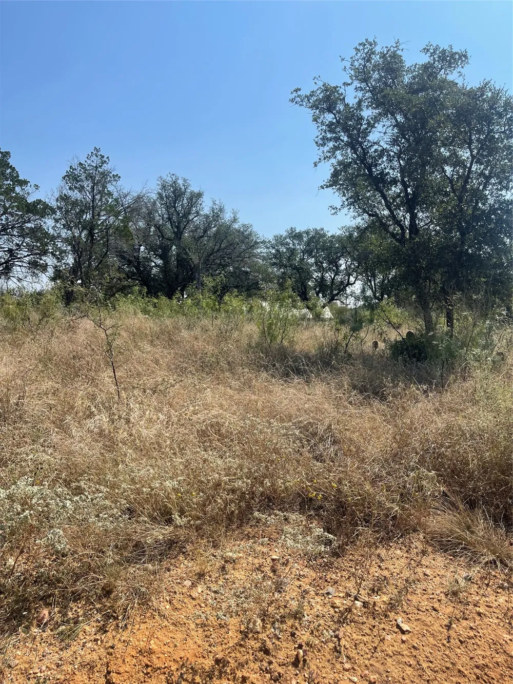 707 Maple Lane Cottonwood Shores, TX 78657